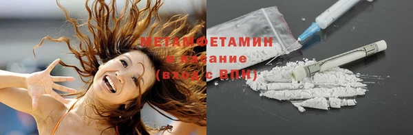 шишки Краснослободск