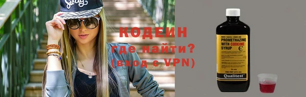 шишки Краснослободск