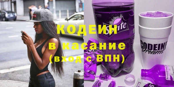 шишки Краснослободск